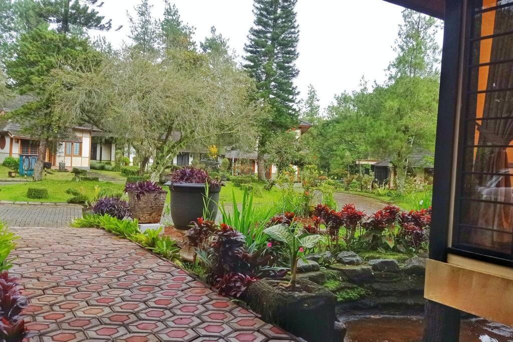 Designer Villa Tokyo Cianjur Buitenkant foto