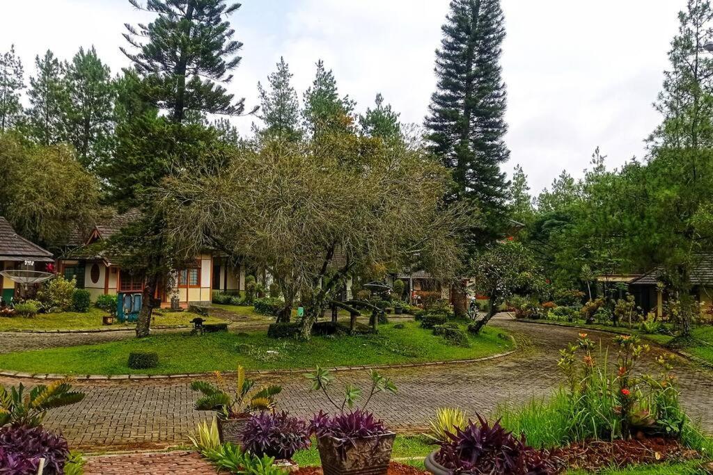 Designer Villa Tokyo Cianjur Buitenkant foto