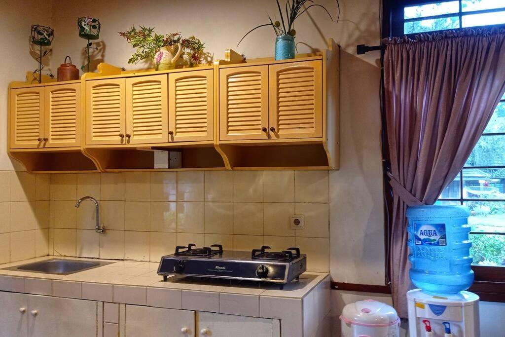 Designer Villa Tokyo Cianjur Buitenkant foto